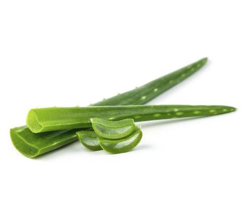 Aloevera 1lb