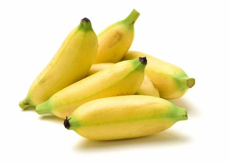 Baby Banana 1lb