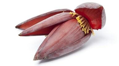 Banana Flower 1lb