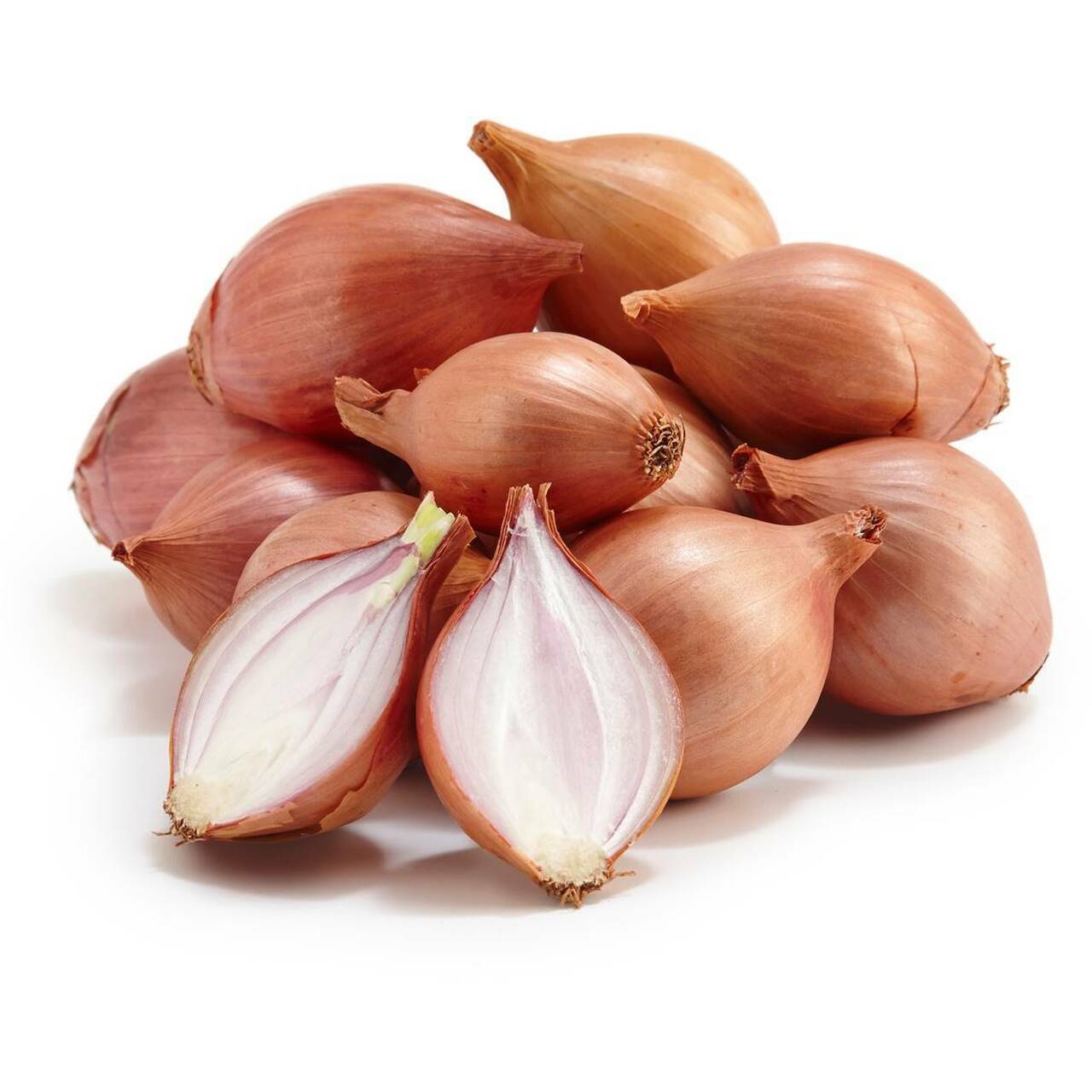 Shallot Onion 1lb