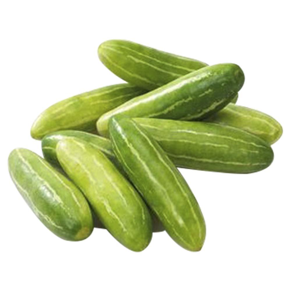 Tindora 1lb