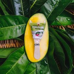Desi Popz - Kaccha Aam 1Pcs.