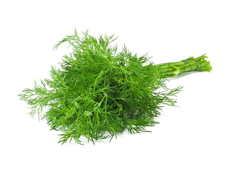 Dill Leaves Each
