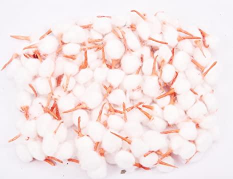 Generic - Cotton Wicks