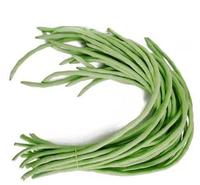 Long Beans Green 1lb