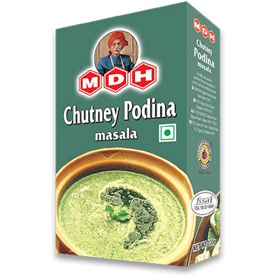 MDH - Chutney Podina Masala 100g