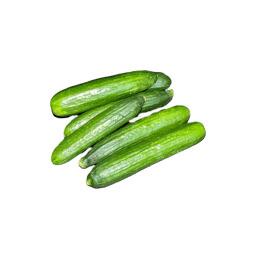Persian Cucumber 1lb