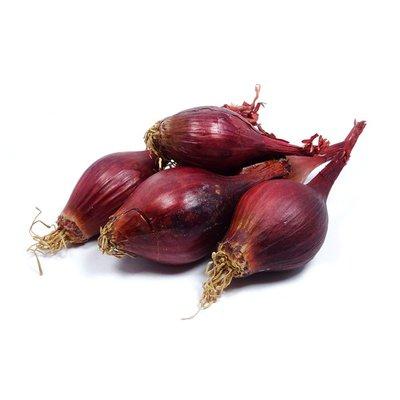 Red Pearl Onion Bag Each