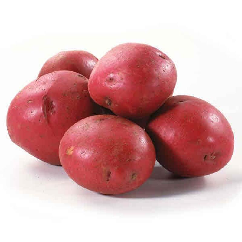 Red Potato Bag 5lb