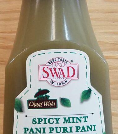 Swad - Spicy Mint Pani Puri Paste 930ml
