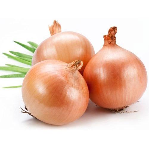 Yellow Onion 1lb
